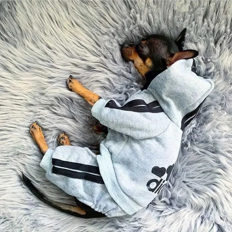 Adidog Dog Jumpsuit - Warm Hoodie Sweatshirt for Puppies, Pet Clothes for Yorkies and French Bulldogs, Stylish Coat Jacket