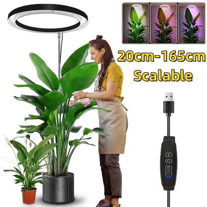 165cm Height Adjustable LED Ring Grow Light – Full Spectrum USB Plant Lamp for Indoor Plants, Large Growing Light