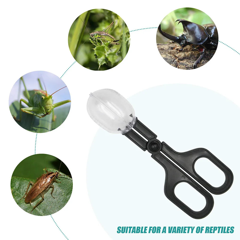 Portable Transparent Insect Catcher Scissor - Indoor/Outdoor Bug Scooper for Kids - Clamp Tong Tweezer for Biology Study Supplies