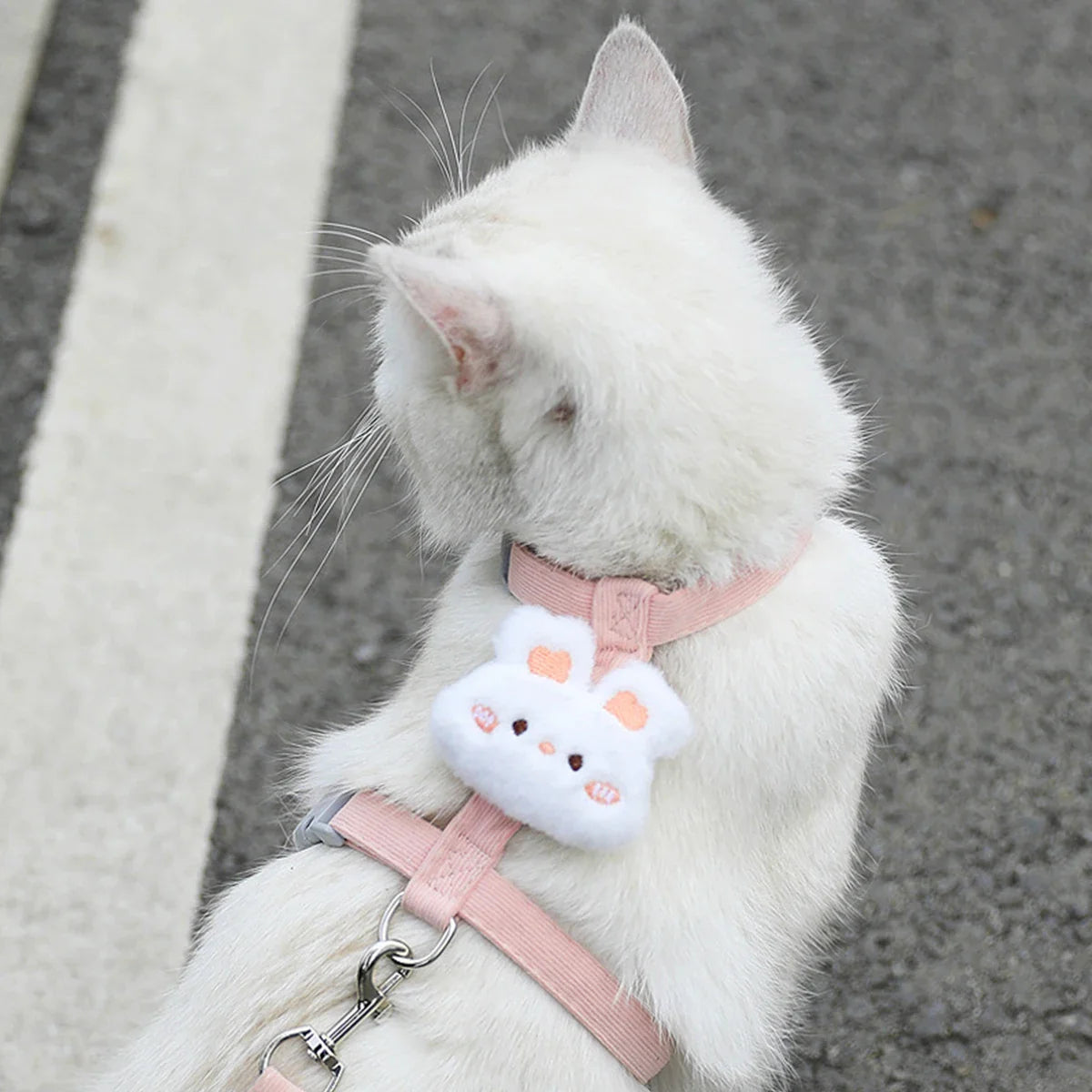 Adjustable Cat & Small Dog Harness with Leash – Breathable Pet Walking Strap Set