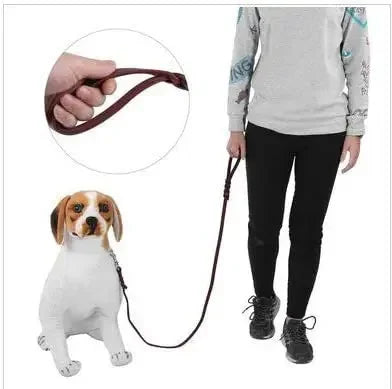 Genuine Leather Dog Leash – Braided Walking & Training Lead for Medium & Large Dogs, Brown & Black