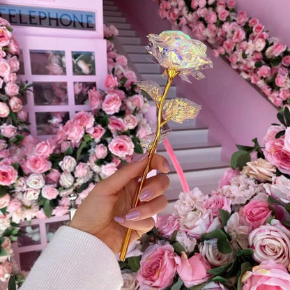 Valentine's Day 24K Foil Plated Rose – Gold Rose Lasts Forever, Creative Wedding & Love Decor, 5-50PCS Gift Set