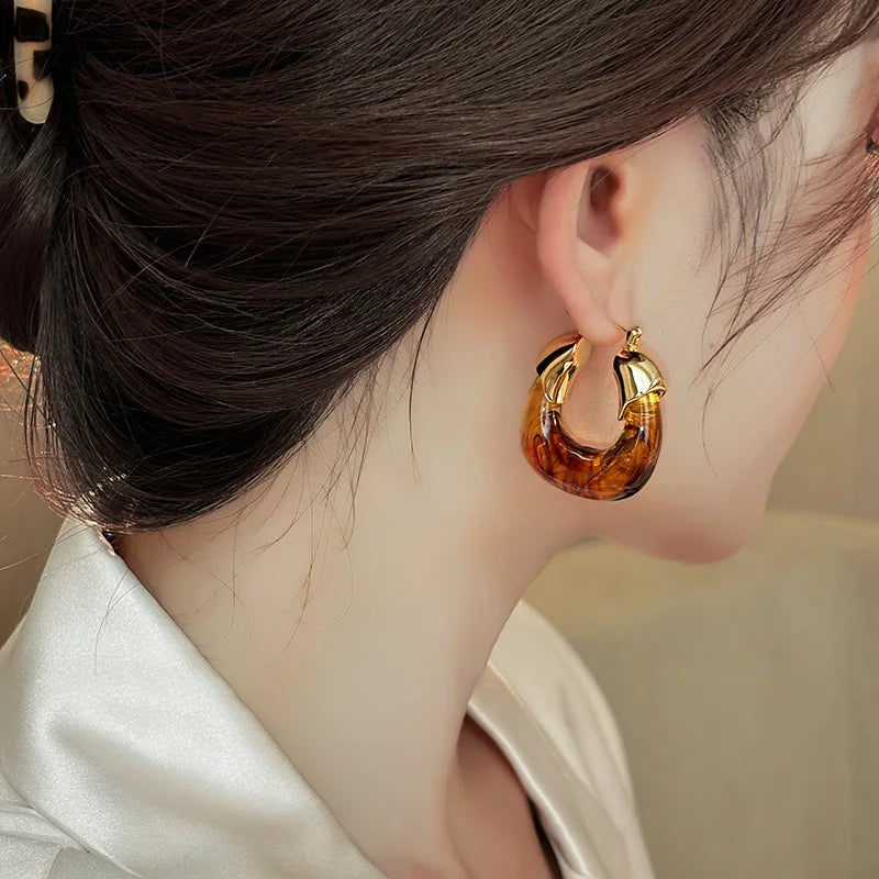 Retro Brown Resin U-Shaped Hoop Earrings — European & American Geometric Earrings for Women, Simple Fashion Jewelry Gift