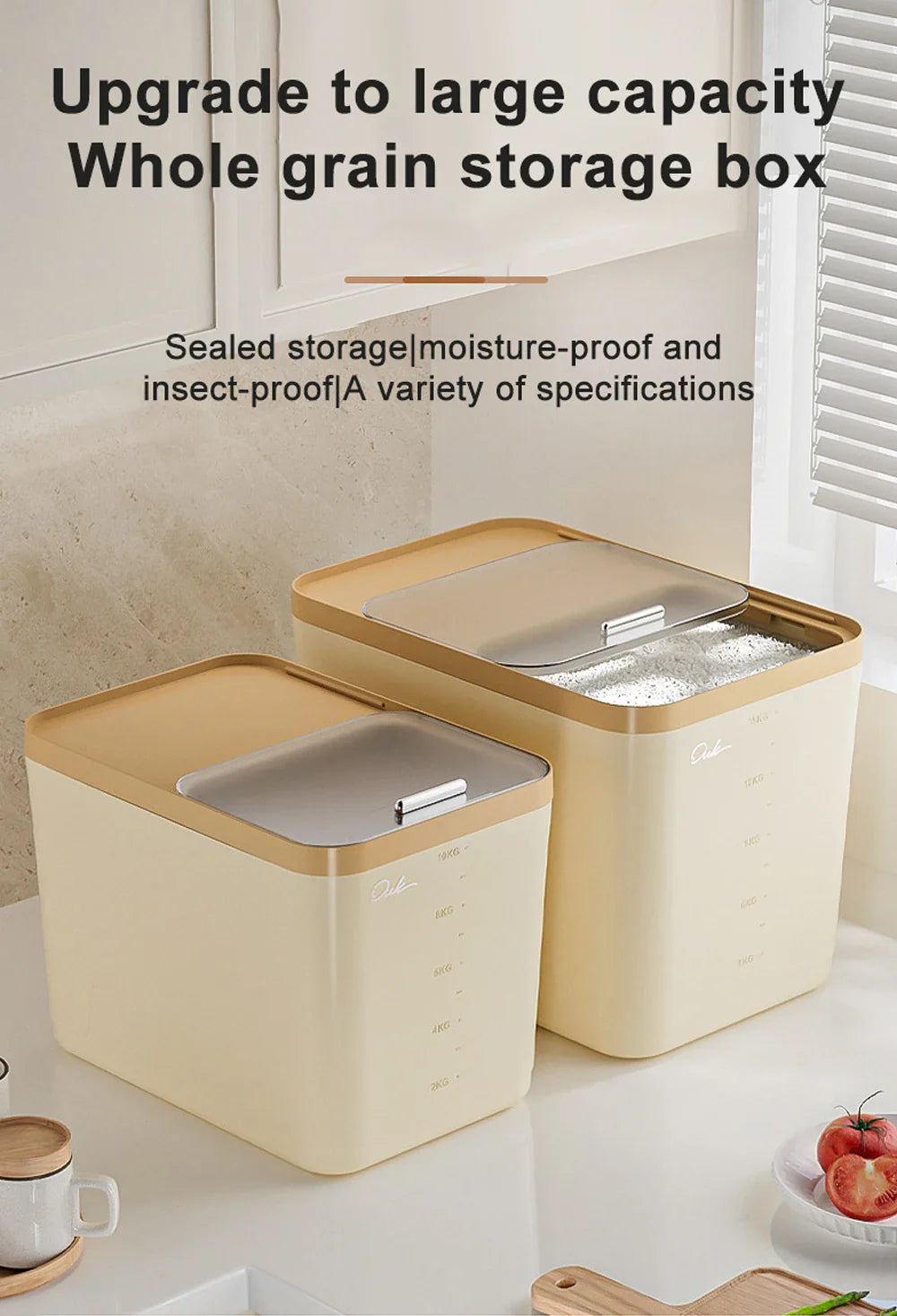 10KG Rice Storage Container & Pet Food Box - Sealed Cereal Dispenser with Buckle, Insect-Proof Grain Organizer for Kitchen