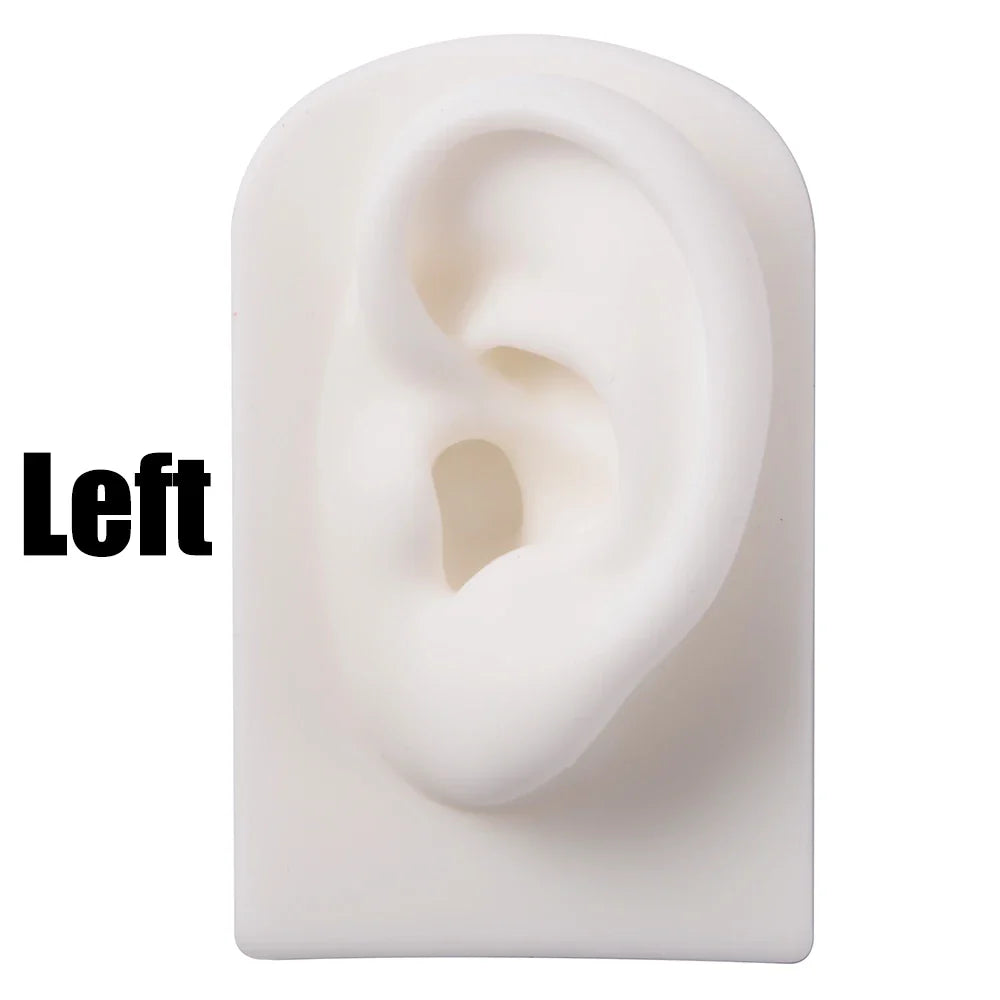 Soft Silicone Ear Nose Mouth Practice Model – Tattoo & Piercing Jewelry Display Stand with Acrylic Earring Holder Kit for Training & Showcase