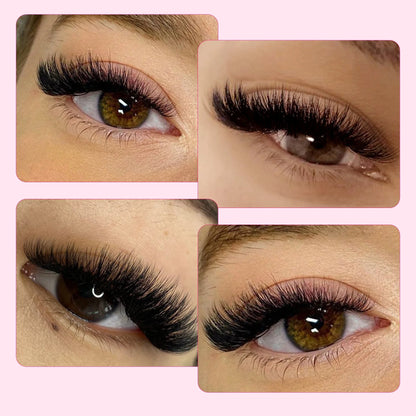 CoMango 600Fans Premade Volume Eyelashes – C/D Curl 8-15mm Loose Fan Extensions, Cat Eye Mega Russian Soft Lashes