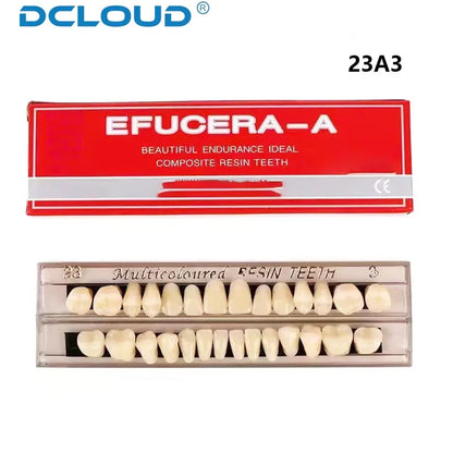 28-Teeth Dental Acrylic Resin Denture Set – Upper & Lower False Teeth Model (A2/A3, Shade 22# & 23#) for Dental Education & Research