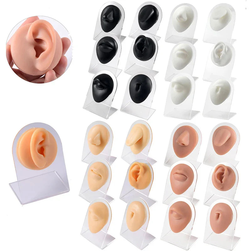 Soft Silicone 1:1 Simulation Body Piercing Practice Model – Ear, Nose, Navel & Nipple Display Stand for Jewelry Training & Teaching Accessories