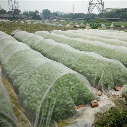 Garden Insect Protection Net – 60 Mesh Pest Control Cover for Plants, Vegetables, Fruits, Flowers & Greenhouse, Anti-Bird Protective Net