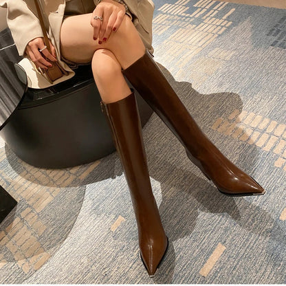 Pointed Toe Women's High Boots – Fashionable Side Zipper Long Booties, Elegant Party High Heel Shoes for Winter