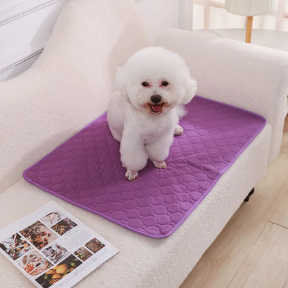 Reusable Dog Pee Pad Blanket – Absorbent Washable Puppy Training Mat & Pet Bed, Urine Protector for Car Seat, Pet Supplies
