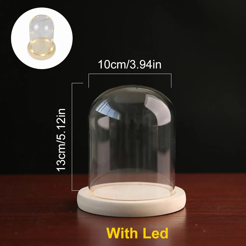 Glass Dome with Wooden Base & LED Light – Terrarium Vase, Flower Holder, Landscape Container for Bedroom Decor & Birthday Gifts