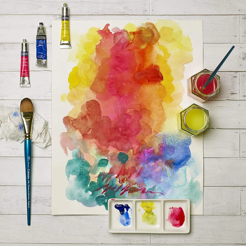 Winsor & Newton Cotman Watercolor Paint Tube 8ml – High Transparency Aquarelle with Excellent Tinting Strength