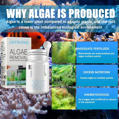 50g Aquarium Moss Remover – Fish Tank Water Purification & Algae Cleaning Powder, Includes Spoon for Easy Use