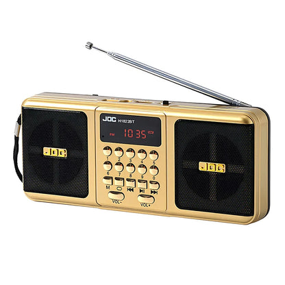 Portable Bluetooth FM Radio Speaker — Wireless Stereo with USB, TF Card & Rechargeable Battery