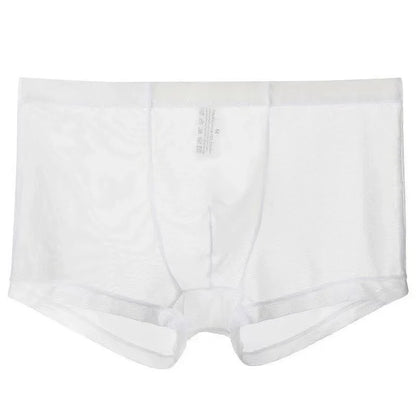 Transparent Ice Silk Men's Boxers - Low Waist See-Through Bulge Underwear