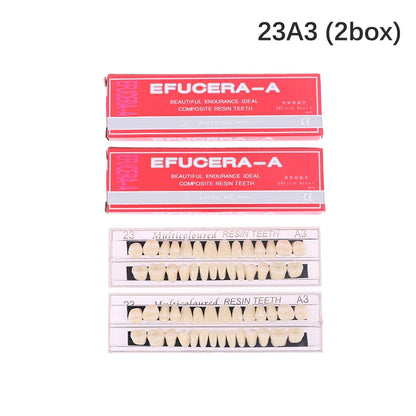 Dental Teeth Teaching Model – Professional Oral Care Training & Dental Material Tool