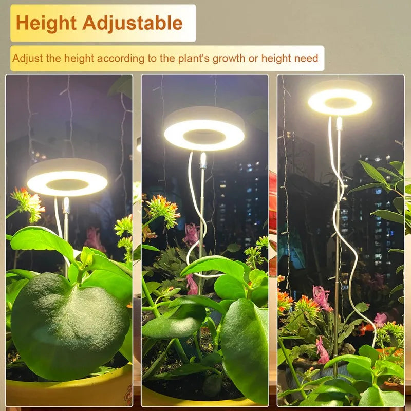 Premium Indoor Solar LED Growth Light: Full Spectrum with Four Gear Dimming - Ideal for Fleshy Plants, Flowers, and Telescopic Fill Light for Floors