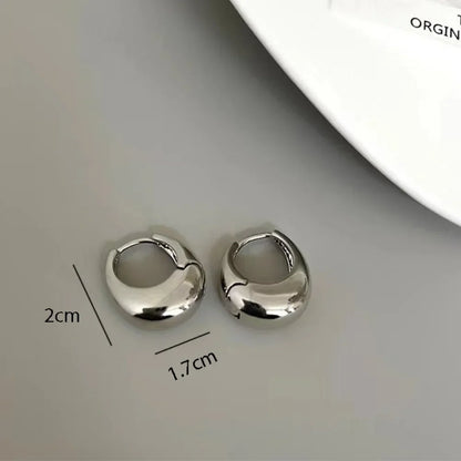 Stainless Steel Chunky Hoop Earrings – Smooth Round Statement Hoops for Women & Girls, Punk Fashion Jewelry