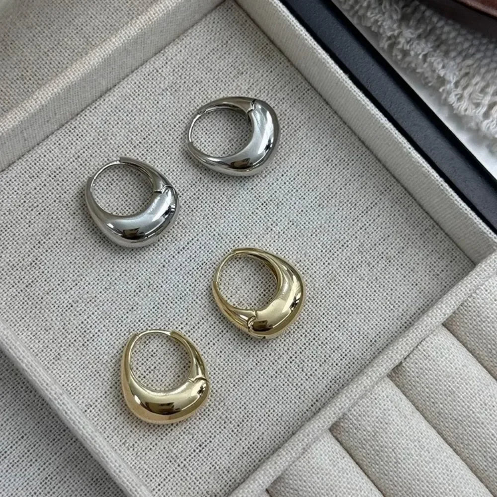 Stainless Steel Chunky Hoop Earrings – Smooth Round Statement Hoops for Women & Girls, Punk Fashion Jewelry