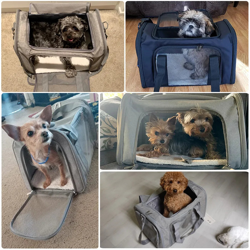 Soft-Sided Dog Carrier Backpack: Airline Approved Pet Travel Bag - Transport for Small Dogs and Cats, Outgoing Adventures