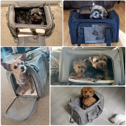 Soft-Sided Dog Carrier Backpack: Airline Approved Pet Travel Bag - Transport for Small Dogs and Cats, Outgoing Adventures
