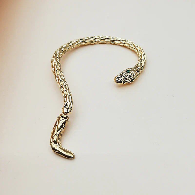 Stainless Steel Vintage Snake Wrap Ear Hook Earrings - Gothic Women's Accessories Clip-ons Trending 2024