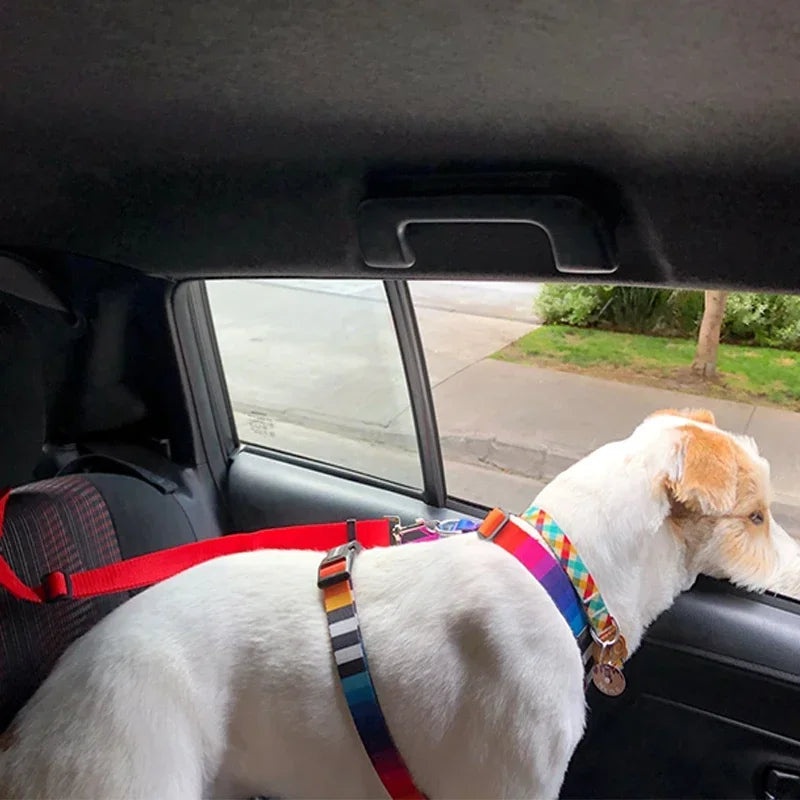 Solid Color Two-in-One Pet Car Seat Belt - Adjustable Nylon Lead Leash for Backseat Safety, Dogs Harness Collar Accessory
