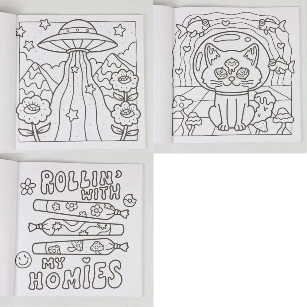 Into the Garden Coloring Book for Adults & Teens - Bold & Simple Designs with Plants, Flowers & Cute Animals