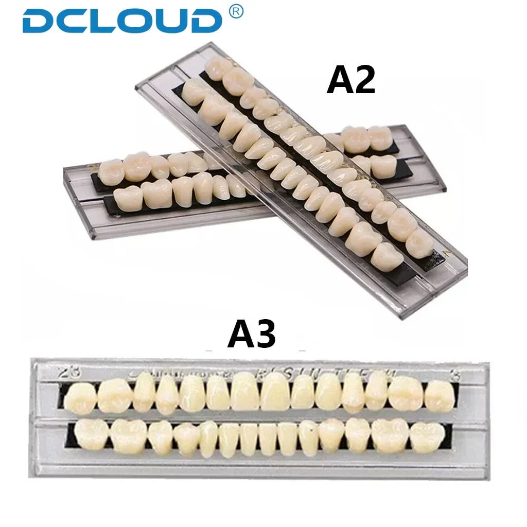 28-Teeth Dental Acrylic Resin Denture Set – Upper & Lower False Teeth Model (A2/A3, Shade 22# & 23#) for Dental Education & Research