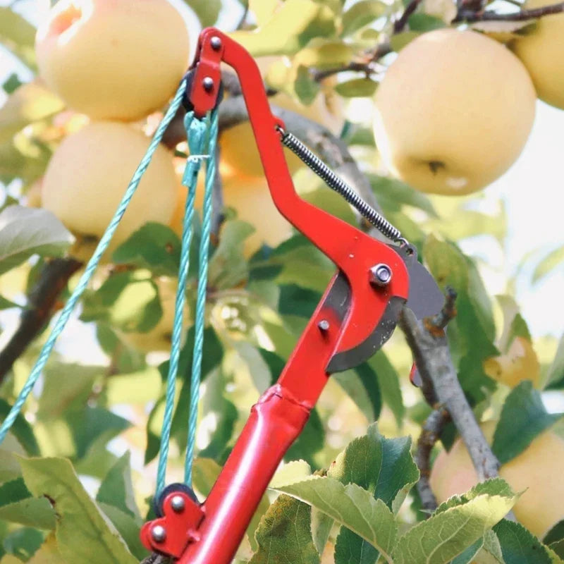 High-Altitude Extendable Lopper & Pruning Saw | Rope-Assisted Tree Branch Cutter for Fruit Trees | Garden Trimmer Tool