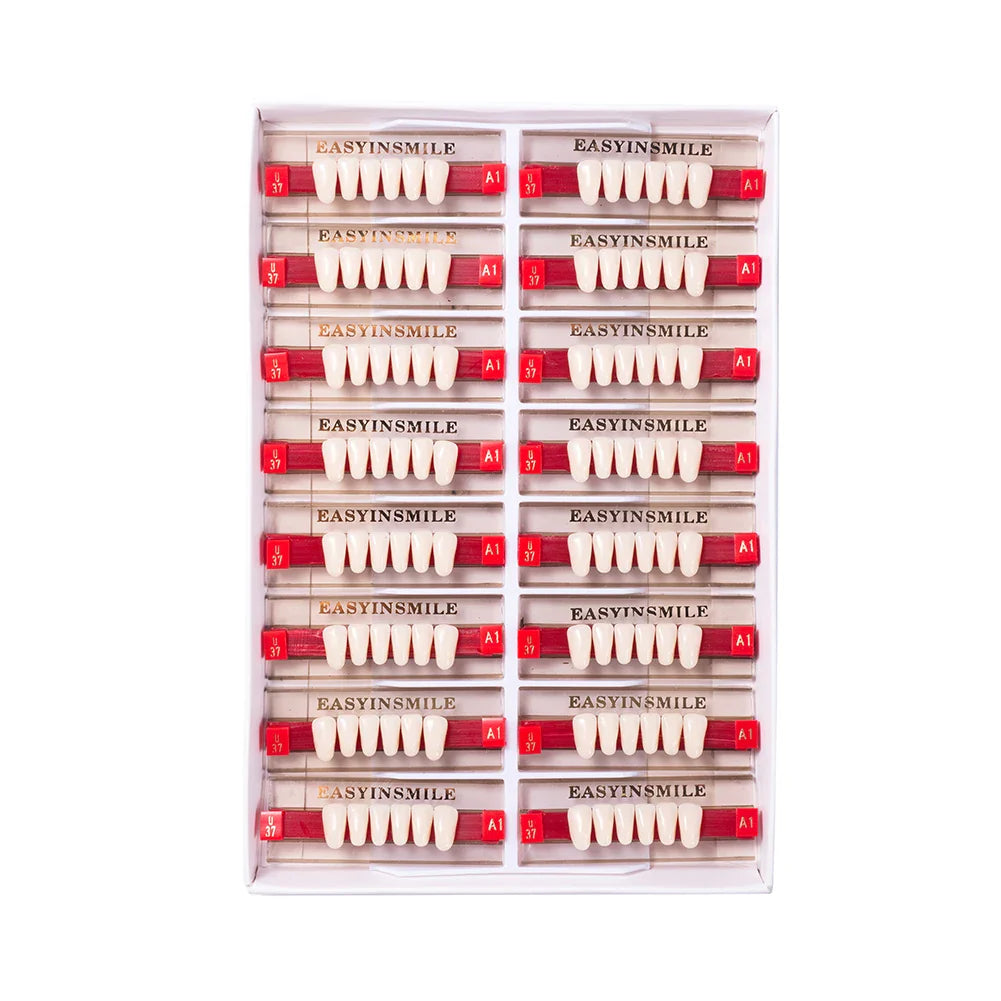 16/12 Set Dental Denture Teeth Model Kit, Upper & Lower Anterior Synthetic Polymer Teeth A2 A3 for Dental Education & Training