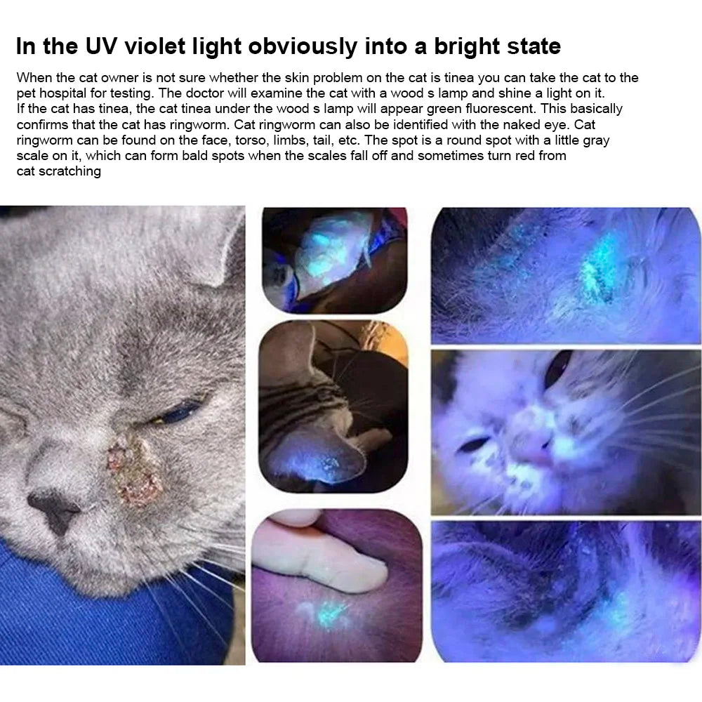 365 UV Veterinary Wood Lamp - Pet Fungus Detection Waterproof Flashlight with Ultraviolet Light for Cat Moss and Tinea Detection - Black Mirror Included