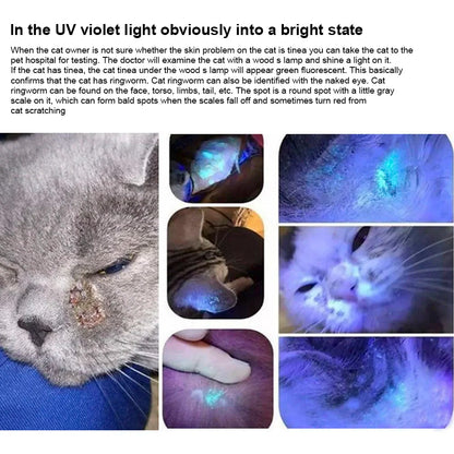 365 UV Veterinary Wood Lamp - Pet Fungus Detection Waterproof Flashlight with Ultraviolet Light for Cat Moss and Tinea Detection - Black Mirror Included