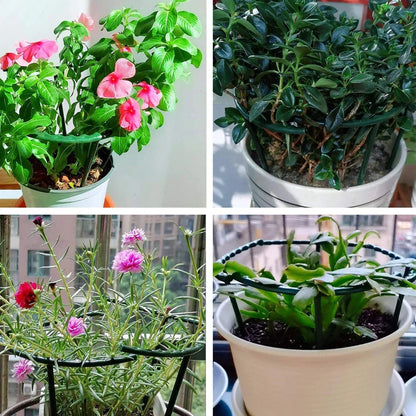 Enhance Your Indoor Garden with 2/4PCS Plastic Plant Support Pile Frames - Greenhouse Arrangement & Vine Climbing Bracket