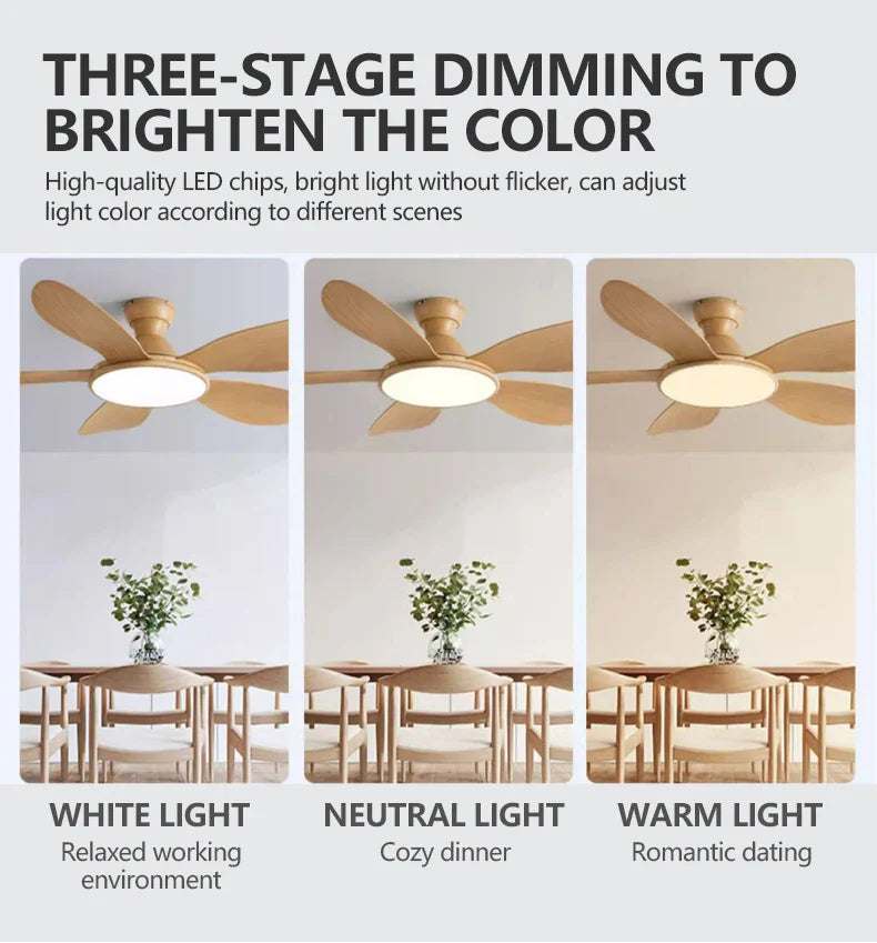 52-inch Modern LED Ceiling Fan — 60W Low Floor DC Motor, 35W Light, Remote Control, 110-220V