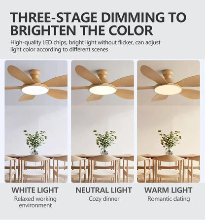52-inch Modern LED Ceiling Fan — 60W Low Floor DC Motor, 35W Light, Remote Control, 110-220V