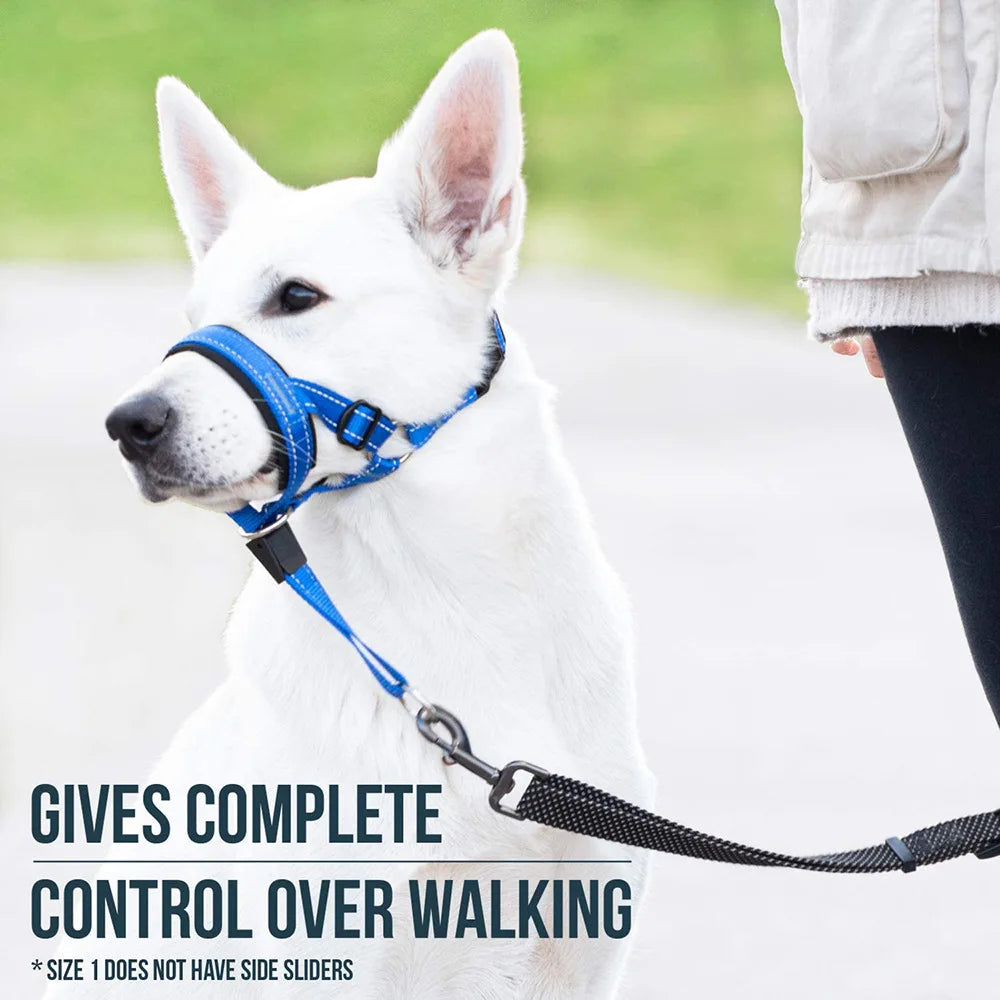 Breathable Dog Mouth Muzzles: Anti-Bark Collar Training Tool Set with Reflective Strips - Nylon Muzzle for Summer Pet Leashes