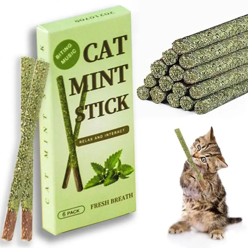 6-Pack Natural Silvervine Cat Chew Sticks - Exciting Matatabi Mint Flavor for Dental Health & Play, Pet Supplies