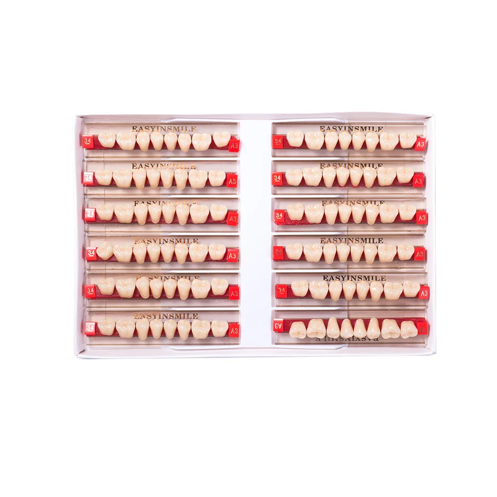 16/12 Set Dental Denture Teeth Model Kit, Upper & Lower Anterior Synthetic Polymer Teeth A2 A3 for Dental Education & Training