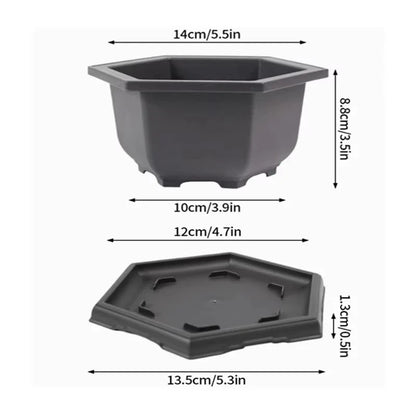 Purple Clay Succulent Plant Pots – Outdoor Garden Bonsai Planters, Rectangular & Square