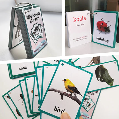 Kids English Vocabulary Flashcards - 26 Themes Fruits Animals Vehicles & Learning Activity Cards