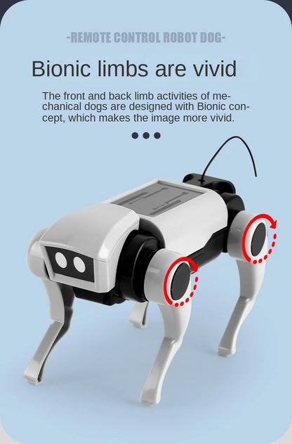RC Robot Mechanical Dog Toy – DIY Assembly Remote Control Science Kit for Kids, Educational Electric Toy Gift for Boys