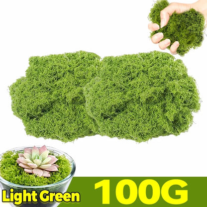 Artificial Green Moss Plants - Realistic Faux Moss Grass for Home, Garden Decor & DIY Crafts