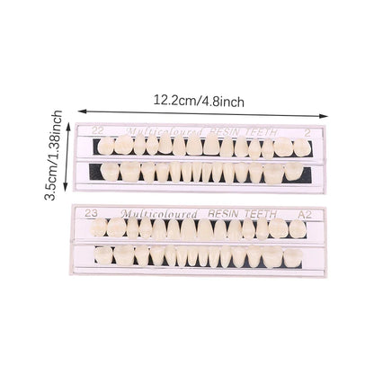 Dental Teeth Teaching Model – Professional Oral Care Training & Dental Material Tool