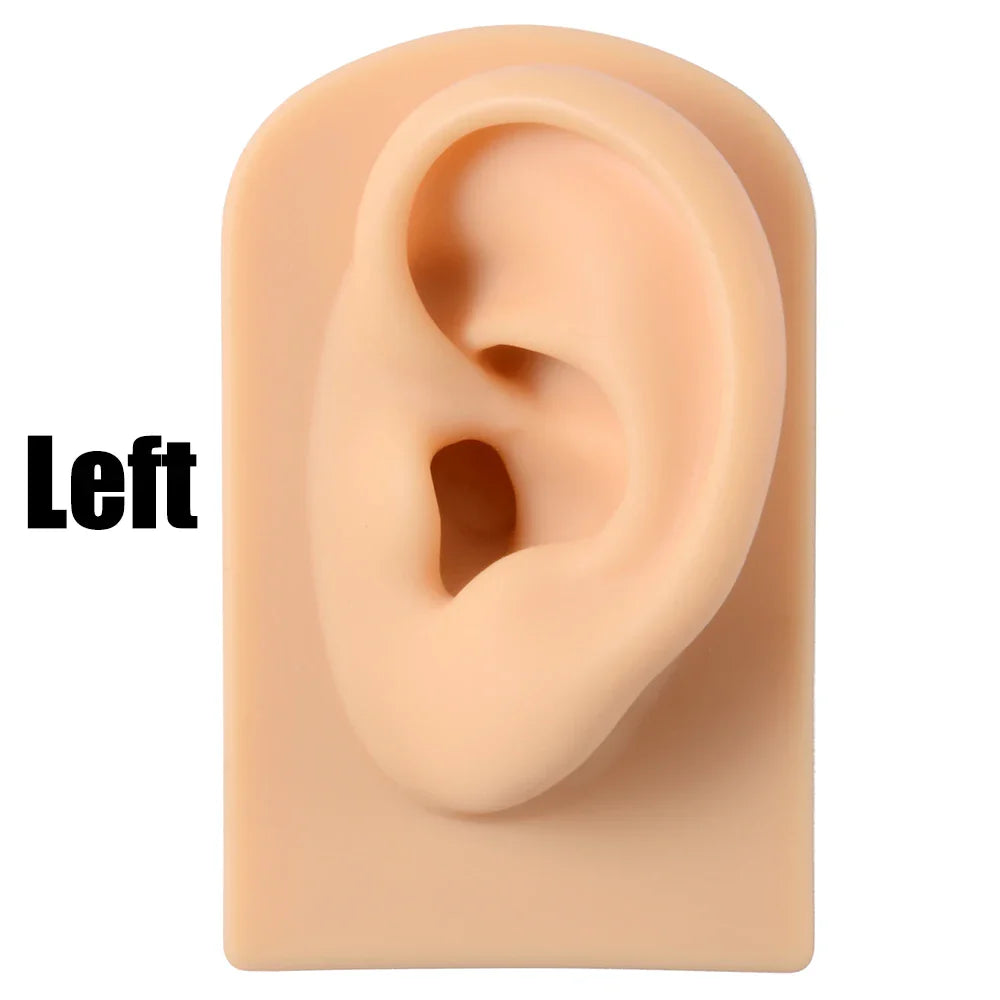 Soft Silicone Ear Nose Mouth Practice Model – Tattoo & Piercing Jewelry Display Stand with Acrylic Earring Holder Kit for Training & Showcase