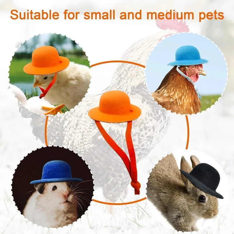 Tiny Pets Chicken Hat - Funny Hen Top Hat for Roosters, Ducks, Parrots, Hamsters - Poultry Stylish Show Costume