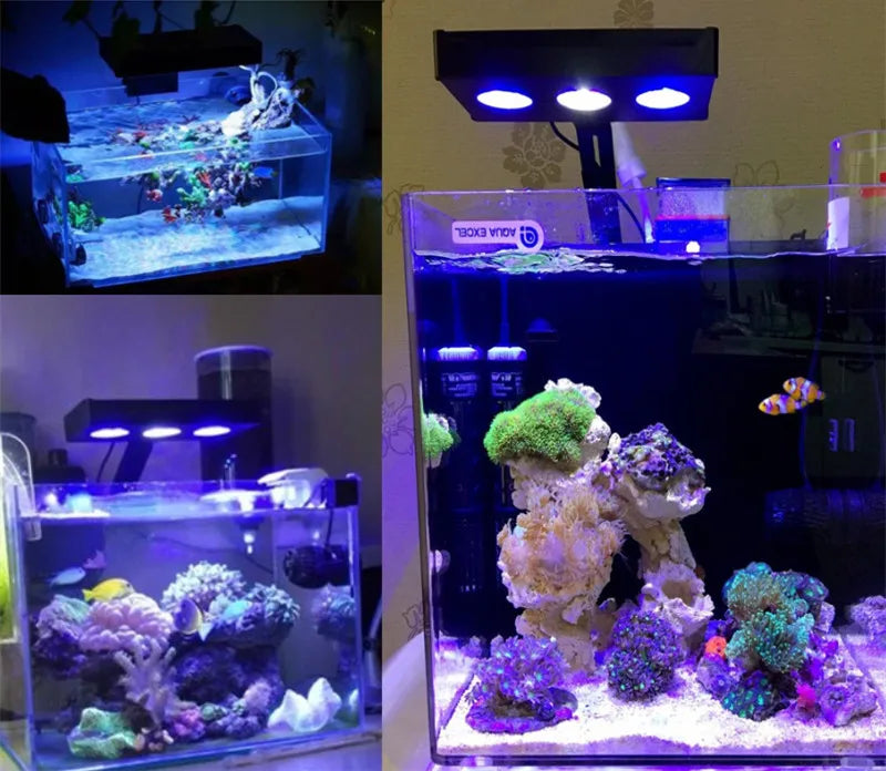 Spectra Nano 029 Aquarium Light 30W – Touch Control Saltwater Lighting for Coral Reef Fish Tanks