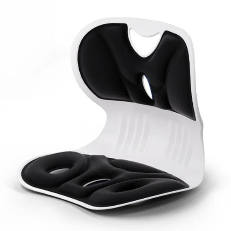 Ergonomic Lumbar Support Pillow — Anti-Fatigue Back Cushion for Study & TV, Breathable Washable Nylon Cover, Multi-Purpose