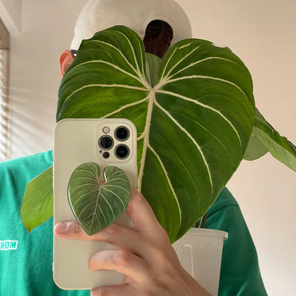 Popular Cute Simulation Leaf Phone Holder Grip - Foldable & Expandable Finger Ring Support Stand - Glossy Griptok Pocket Socket